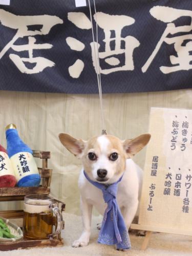 20240622うにちゃん